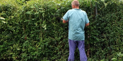 Hecken im Siedlungsraum sollen nicht während der Brutzeit der Vögel geschnitten werden, sondern erst an Ende August bis spätestens Mitte März. Notfalls kann man jetzt noch einige auf das Trottvoir wachsenden Äste entfernen.