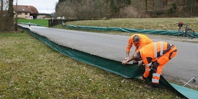 Toni Gubser und Fritz Landolt erstellten 400 Laufmeter Froschzaun.
