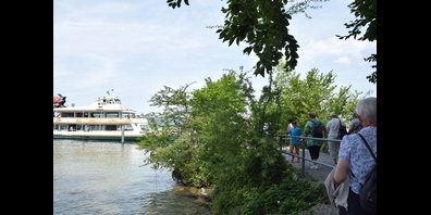 Die ZSG-Schiffe fahren die Insel Ufnau in der nächsten Saison häufiger an.