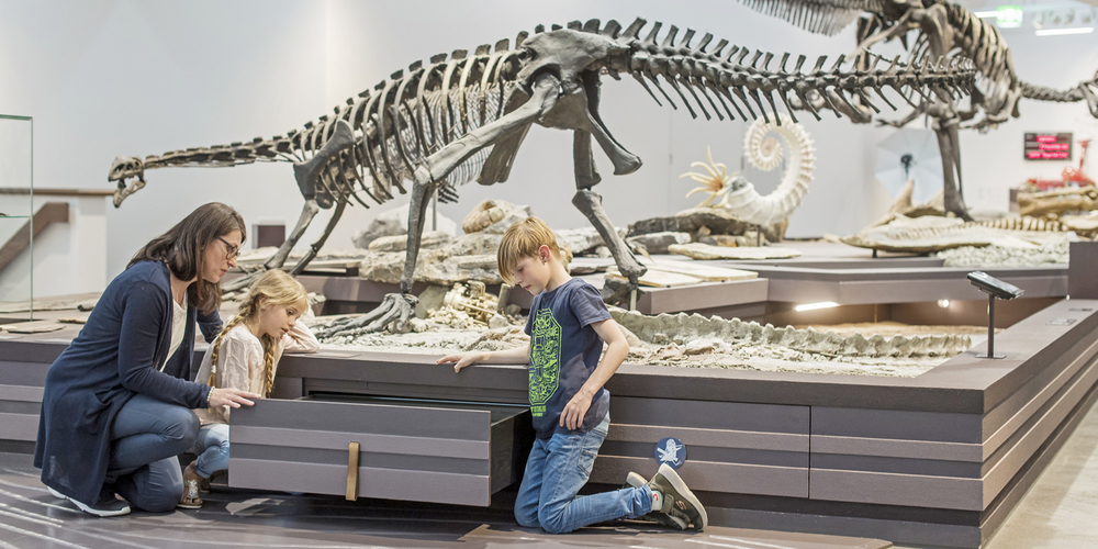 Am Internationalen Museumstag können kleine und grosse Dinosaurierfans etwa den neuen Saurier-Kinderpfad im Naturmuseum  entdecken