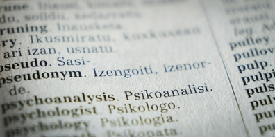 Sprache wirkt auf den ersten Blick wie ein System aus Wörtern und Regeln, das sich technisch relativ einfach übertragen lässt. Wer jedoch beruflich mit Texten arbeitet, weiss, dass hinter jeder Formulierung ein ganzer Kontext steckt. (Symbolbild)