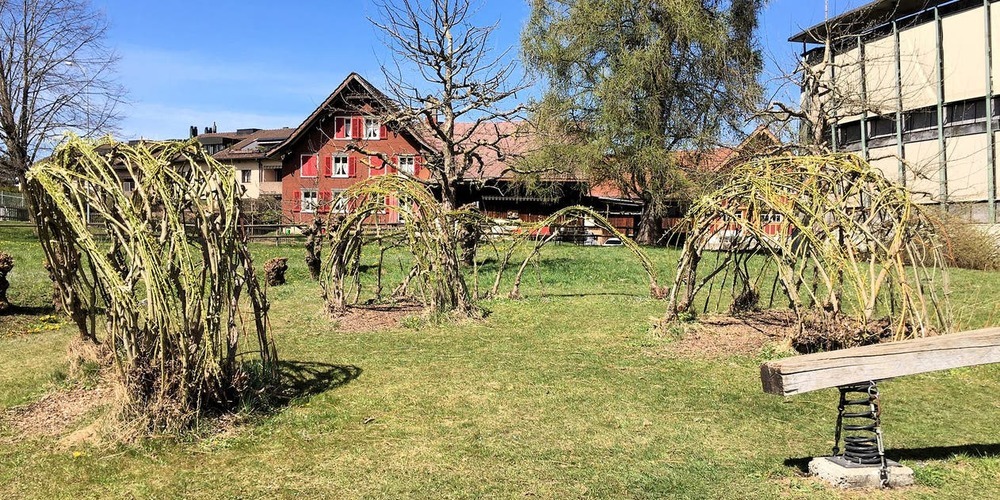Das Schulhaus Hof (rechts im Bild) und seine naturnahe Umgebung