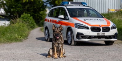 Mit Hilfe des Diensthundes Erol konnte die Spur aufgenommen und der mutmassliche Autodieb im Unterholz festgenommen werden. (Symbolbild)