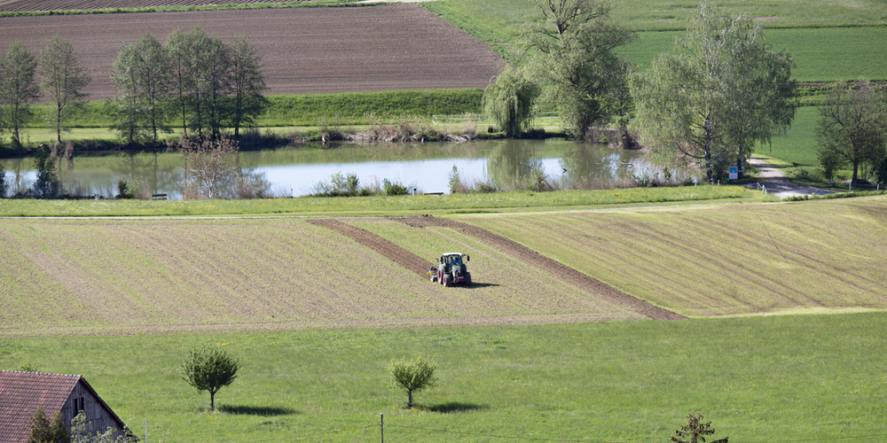 Die Landwirtschaft des Kantons Schaffhausen steht vor grossen Herausforderungen. (Symbolbild)