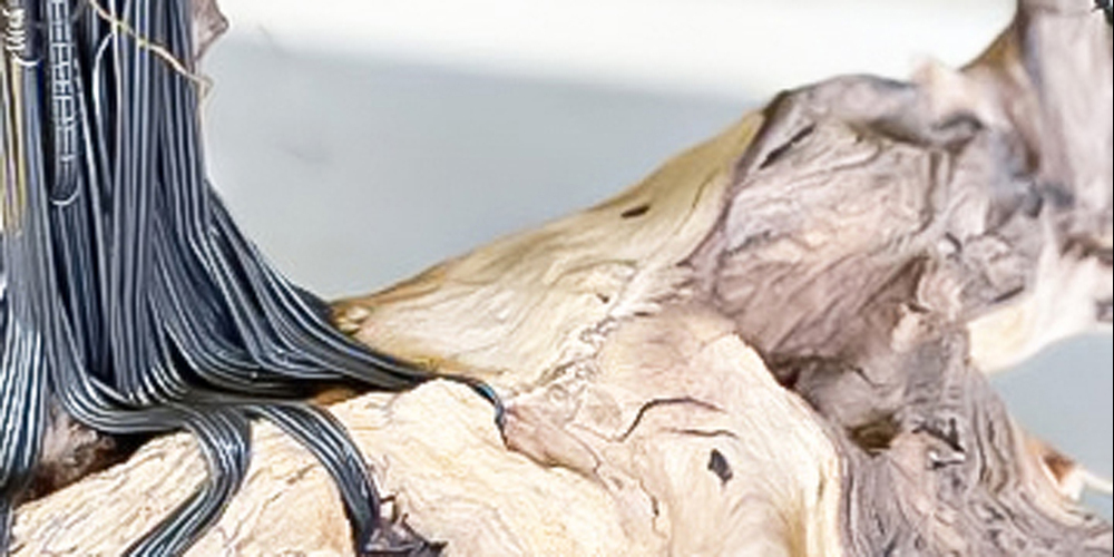 Marlis Liechti kreiert Kunst aus Naturmaterialien – so dieses Holz mit Draht.