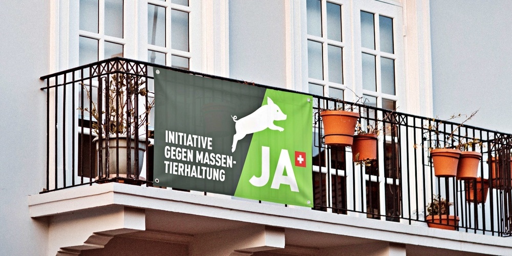 Die Initiative gegen Massentierhaltung fordert würdige Lebensbedingungen für Nutztiere. 