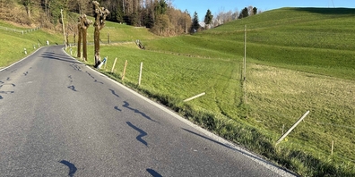 Auf der Walderstrasse Bürg Richtung Wagen, Höhe Lezi, in Eschenbach kollidierte ein fahrunfähiger Autolenker mit Randleitpfosten und einem Baum.