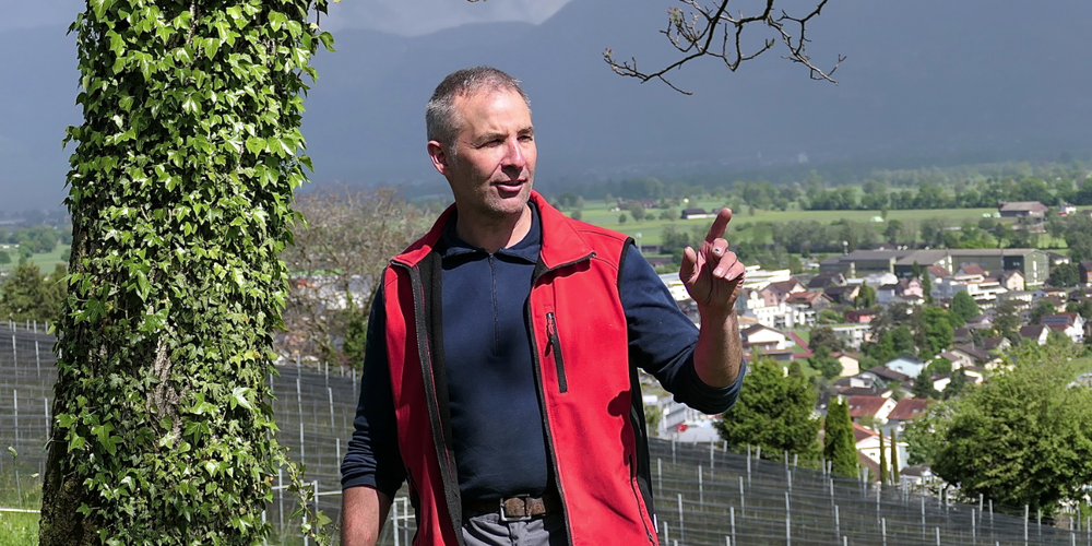 Lukas Fürst: «Die Weinproduktion kann nicht innerhalb von acht Jahren ohne Pestizide und Fungizide auskommen»