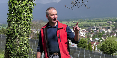 Lukas Fürst: «Die Weinproduktion kann nicht innerhalb von acht Jahren ohne Pestizide und Fungizide auskommen»