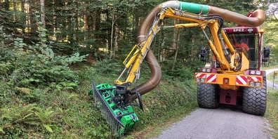 Mahd eines Waldwegrandes mit einer besonders schonenden Mähmaschine.