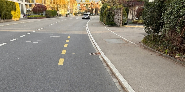 Vor der Verzweigung der Rütistrasse stürzte ein Rennradfahrer auf dem Velostreifen der Zürcherstrasse schwer.