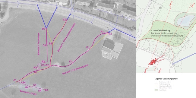 Plan zur Offenlegung und Revitalisierung von drei Bachläufen (l.) und Plan zur Revitalisierung des Seeufers mit Feuchtwiesenaufwertung.