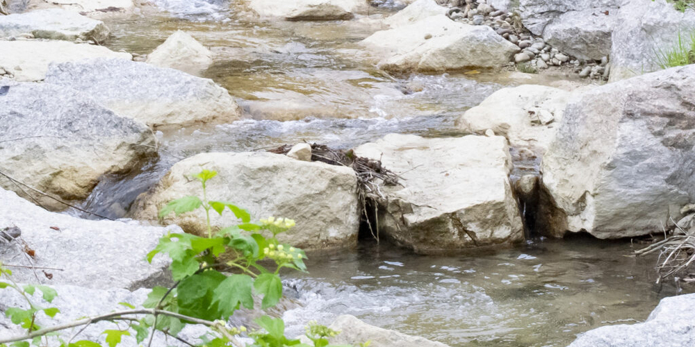 In vier Fliessgewässern im Kanton Schaffhausen wurden Mikroverunreinigungen festgestellt. (Symbolbild)