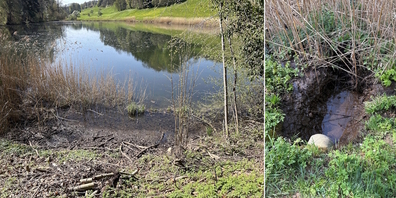 Wegen der Verlandung fand beim Siessenweiher (l.) in Neuhaus keine Gewässerverschmutzung durch einfliessende Gülle statt.