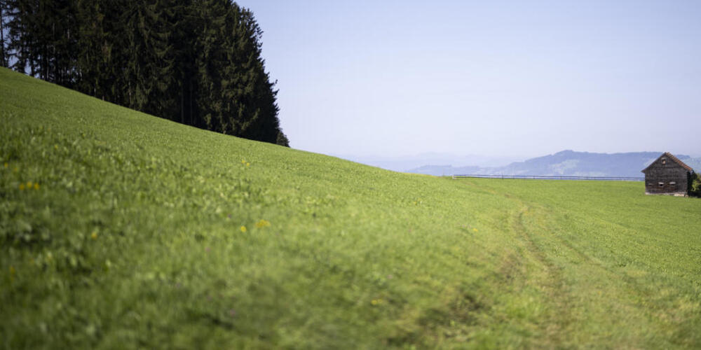 Die Eggersrieter Höhe im Kanton St.Gallen ist eines der Gebiete, in dem mit PFAS (Ewigkeitschemikalien) belastete Flächen festgestellt wurden.