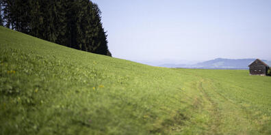 Die Eggersrieter Höhe im Kanton St.Gallen ist eines der Gebiete, in dem mit PFAS (Ewigkeitschemikalien) belastete Flächen festgestellt wurden.
