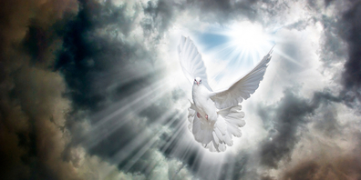 Sichtbar in Gestalt einer Taube kam der Heilige Geist auf Jesus herab