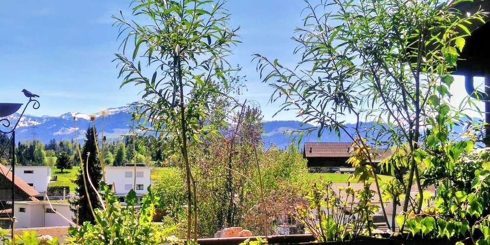 Eine natürliche Idylle auf dem Balkon – Bernadette Gerber beschreibt, wie sie ihr Naturparadies auf der Terrasse zum Leben erweckt hat.