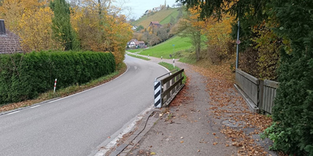 Der bestehende Bachdurchlass wird durch eine neue Brücke ersetzt, die Strassenführung angepasst und der Gewässerraum neugestaltet.