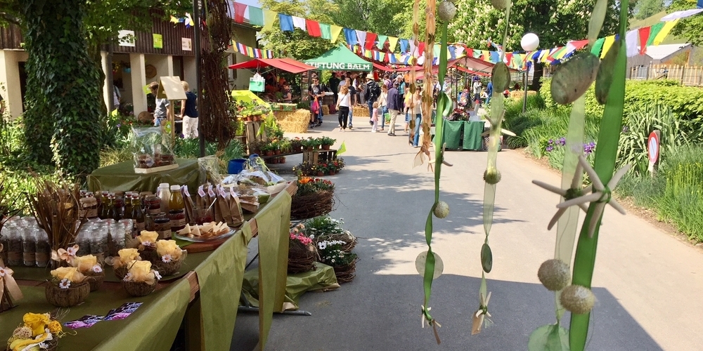 Der Frühlingsmarkt 2026 der Stiftung Balm wartet mit über 40 Marktständen und vielem mehr auf.