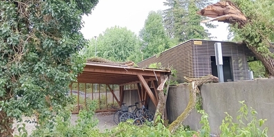 Schaden durch Sturmwind im Jahr 2025 im Kanton St.Gallen.
