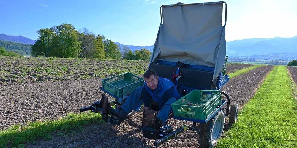 Reto Bamert verliest den Spargel auf der Erntemaschine.
