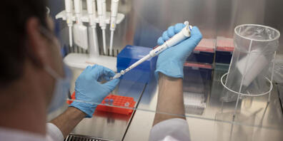 Das Bundesamt für Gesundheit schätzt, dass im 7-Tages-Schnitt 77,6 Prozent der relevanten Virusvarianten auf die Delta-Variante fallen. Mithilfe der Genomsequenzierung können die verschiedenen Varianten des Coronavirus ausfindig gemacht  werden. (...