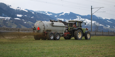 Dem Strukturwandel in der St.Galler Landwirtschaft soll Rechnung getragen werden (Symbolbild).