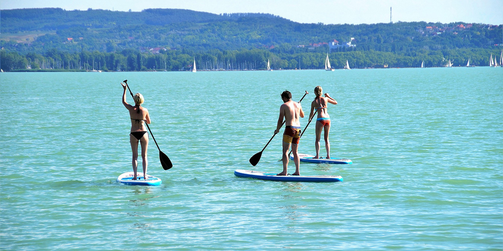 Einfache Verhaltensweisen sorgen für ein friedliches Nebeneinander von Wassersportlern und Wildtieren.