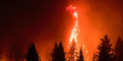 Flammen umschlingen Bäume während des Tamarack Feuers. Foto: Ty O'neil/SOPA Images via ZUMA Press Wire/dpa
