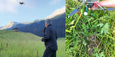 Mit Drohnen können Rehkitze vor einem grausamen Tod bewahrt  werden. 
