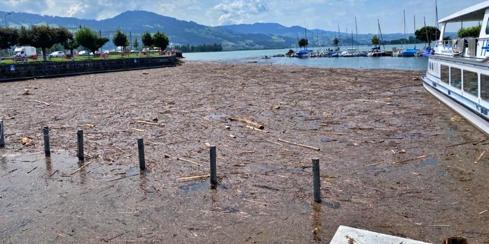 Bei dieser Masse an Schwemmholz sieht man das Wasser gar nicht mehr.