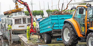 Das Schwemmholz wurde aus dem Hafen Rapperswil abtransportiert.
