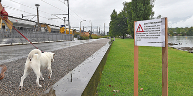 Gut aufpassen: Hundehalter und Vierbeiner sollten Obersee und Aabach in Schmerikon in diesen Tagen meiden. 