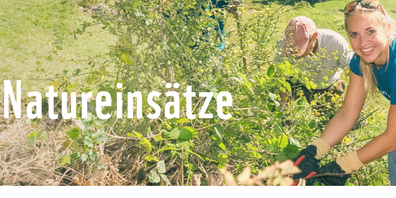 Die Verbuschung muss alljährlich bekämpft werden.
