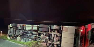 Im Tiertransporter verendeten beim Unfall in Tafers FR zwölf Schweine.