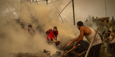 Freiwillige Helfer versuchen einen Waldbrand in einem Waldgebiet nördlich von Athen zu löschen. Foto: Angelos Tzortzinis/dpa