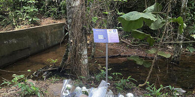 Die Schweizerin wurde bei einem Wasserfall auf Phuket tot aufgefunden. Sie war laut Polizei offenbar vergewaltigt und ermordet worden. (Archivbild)