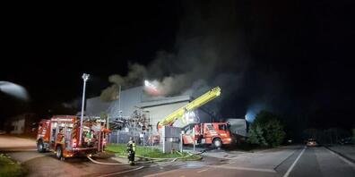 Ein Brand in der Industriezone von Crissier VD hat am Samstagmorgen einen stundenlangen Feuerwehreinsatz erfordert.