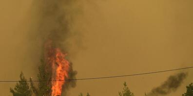 Menschen beobachten die Flammen, die Bäume während eines Waldbrandes im Dorf Avgaria auf der Insel Euböa verbrennen. Der Kampf gegen die Brände im Mittelmeerraum halten weiter an. Besonders dramatisch ist die Lage auf der griechischen Insel Euböa,...
