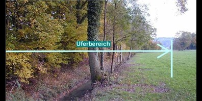 Das Deponieren von Siedlungsabfall, Gartenabfällen, Strauchschnittgut, Kompost, Holz, Erdmaterialien und Kies ist verboten.