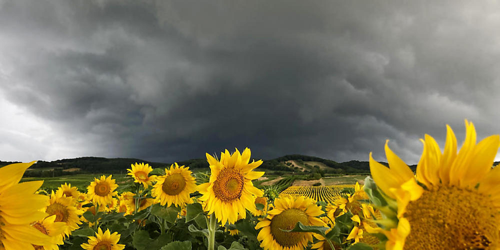 Nach einem sonnigen Sommertag mit Temperaturen von über 30 Grad ist am späten Donnerstagabend eine Gewitterfront über die Schweiz gezogen. (Archivbild)