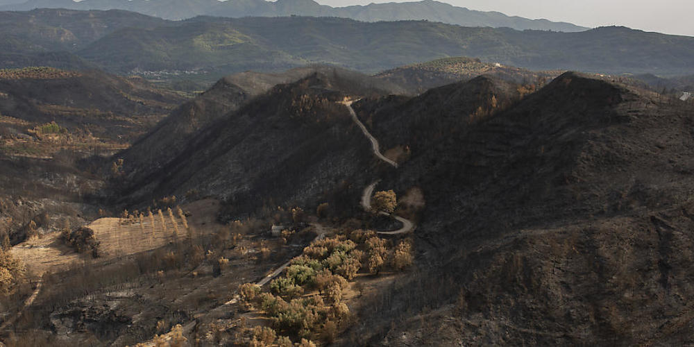 Verbrannt ist die Landschaft in der Nähe von Lalas, unweit von Olympia. Deutsche Feuerwehrleute und Mitglieder des Technischen Hilfswerks (THW) haben in Lalas ihr Camp für ihren Einsatz auf der Halbinsel Peloponnes. Foto: Socrates Baltagiannis/dpa