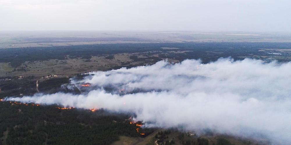 HANDOUT - Ein Waldbrand mit einer Fläche von 200 Hektar im Bezirk Danilovka. Foto: Ministerium für Katastrophenschutz/TASS/dpa