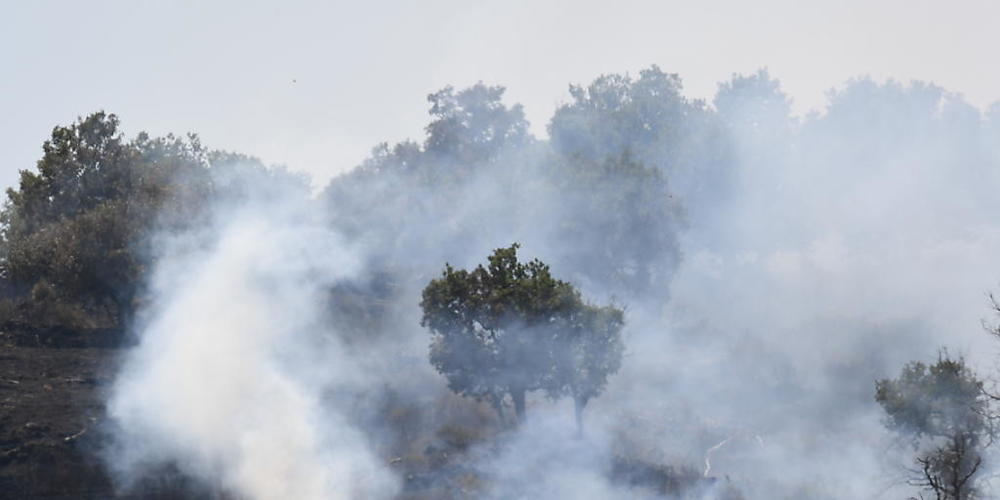 Flammen lodern auf in einem Pinienwald, an den Hängen des Ätnas. Die südlichen Regionen Siziliens, Sardiniens, Kalabriens und auch Mittelitaliens, wo Rekordtemperaturen erwartet werden, wurden von Waldbränden schwer getroffen. Foto: Salvatore Cava...