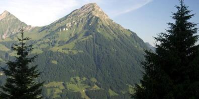 Im Niesengebiet ist am Sonntag ein Gleitschirmpilot tödlich verunglückt. (Archivbild)