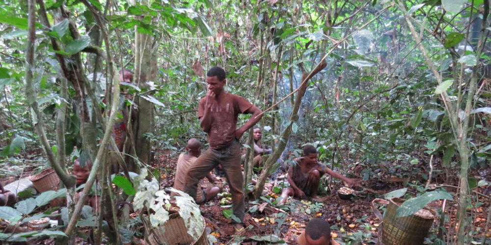 Jagen, Sammeln und Teilen im Regenwald: Das Ernährungssystem der Baka im Südosten Kameruns ist wie das vieler indigener Völker nachhaltig, regional und anpassungsfähig. Die Länder des Nordens könnten viel von ihnen lernen, findet die Welternährung...