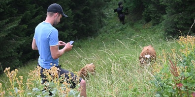 Auf dem Smartphone kann Landwirt Benjamin Herzog überprüfen, wo sich seine Herde befindet.
