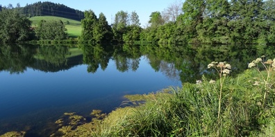 Stöckweiher in Bäretswil.