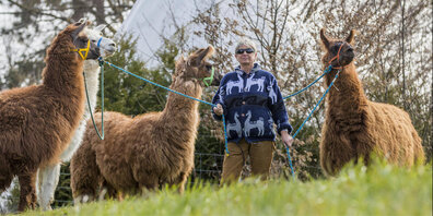 Karin Juling-Hauser mit ihren geliebten Lamas. (Archivbild)